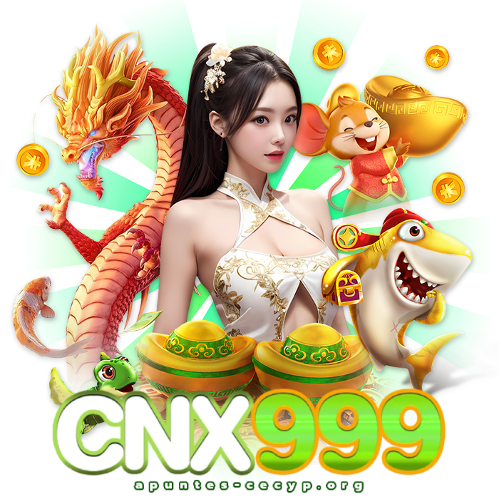 cnx999