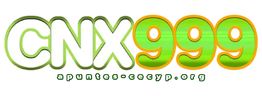 cnx999